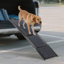 PawHaven Folding Dog Ramp 170X44CM